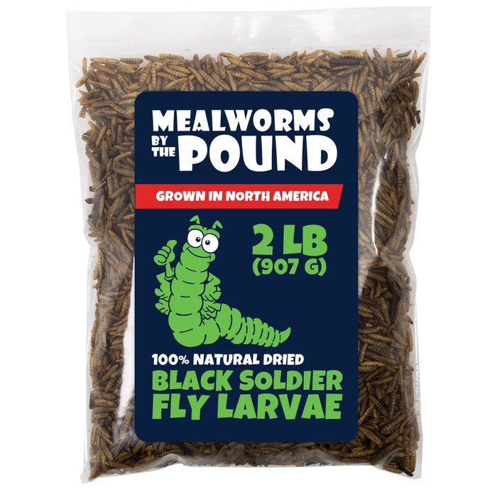 North American Grown Dried Black Soldier Fly Larva (2 lbs) - More Calcium Than Mealworms - Treats for Chickens, Wild Birds, & Reptiles