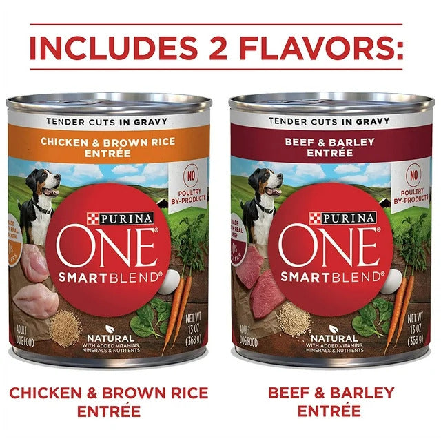 ONE Tender Cuts in Gravy Chicken and Brown Rice, and Beef and Barley Entrees Wet Dog Food Variety Pack