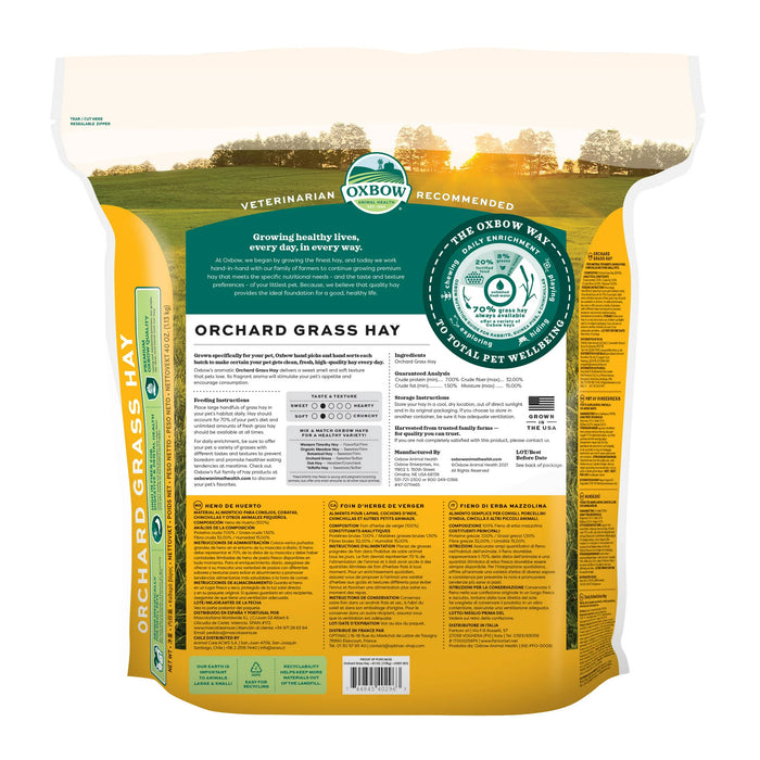 Animal Health Orchard Grass Hay - 40 oz