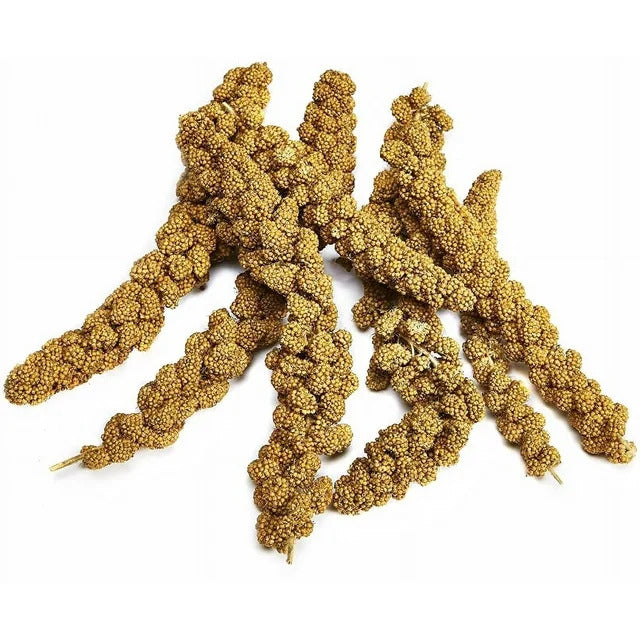 Natural Spray Millet for Bird - 12 Count