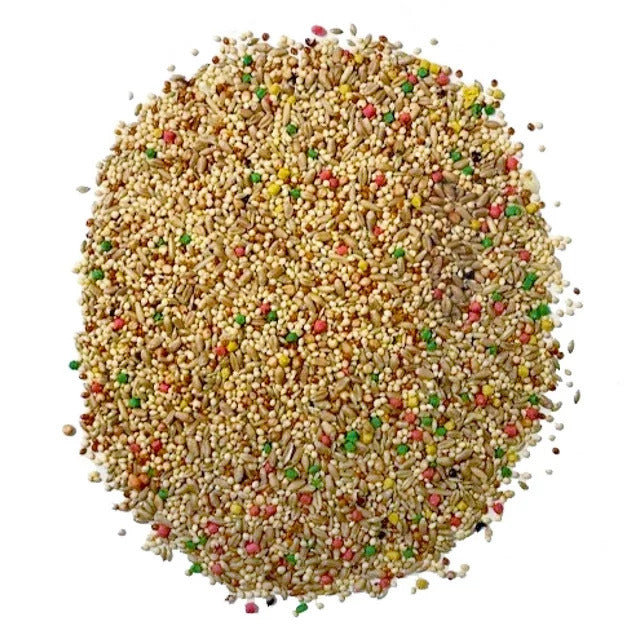 Small Breed Everyday Blend Dry Bird Food, for Parakeets, Canaries and Finches - 3 lb. Bag