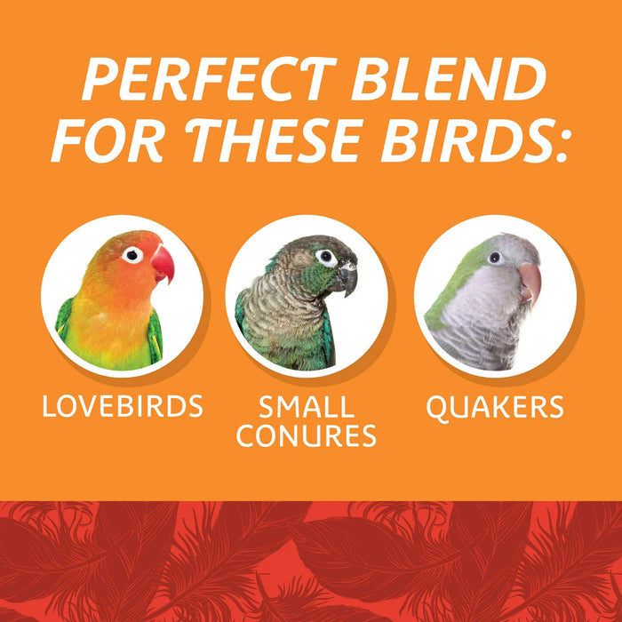 Medium Bird Everyday Blend Dry Bird Food for Cockatiels, Love Birds; 3 lb Bag