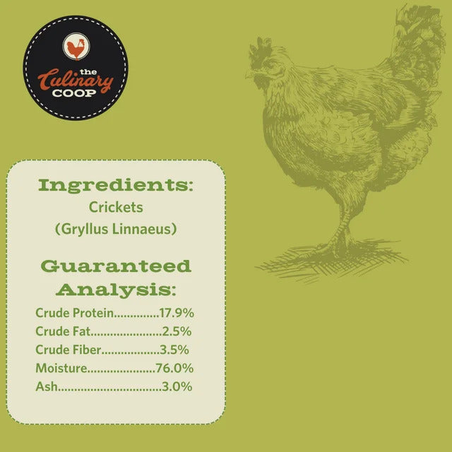 Canned Crickets, All-Natural Chicken Treats - 2.75 oz