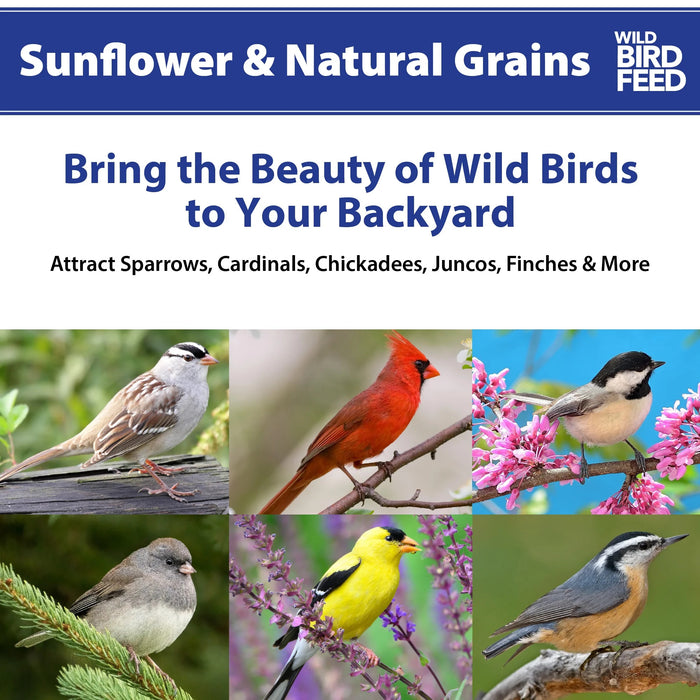 Sunflower & Grains Wild Bird Feed, Dry, 1 Count per Pack, 5 lb. Bag