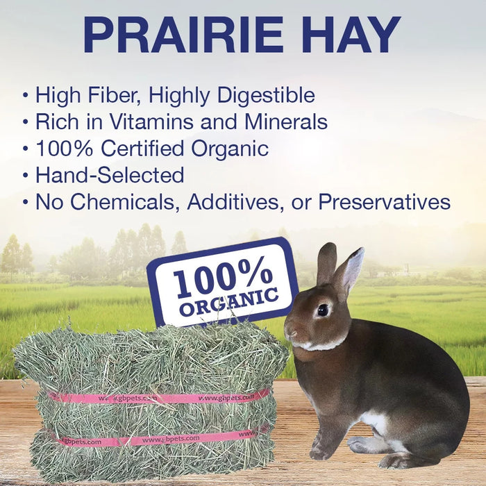 Organic Prairie Grass Hay Mini Bale for Small Animals - 40oz