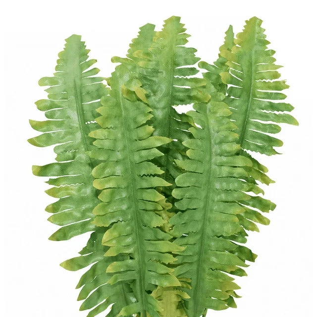 Reptile Green Artificial Silk Fern Plant for Tank - Aquarium Decor