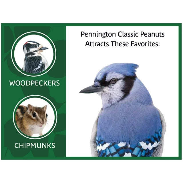 Pennington In Shell Peanuts Wildlife and Wild Bird Food, 5 lb. Bag, Dry - 1 Pack