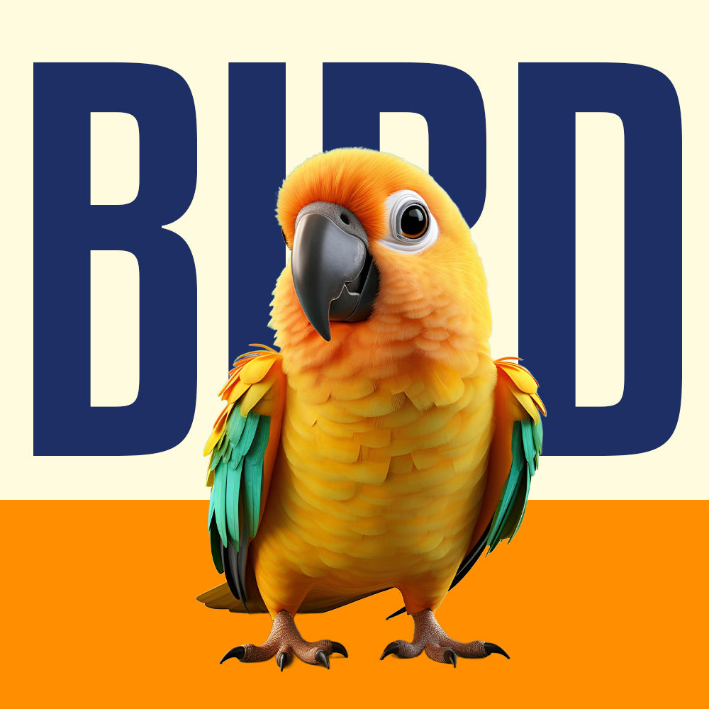 Pet Bird