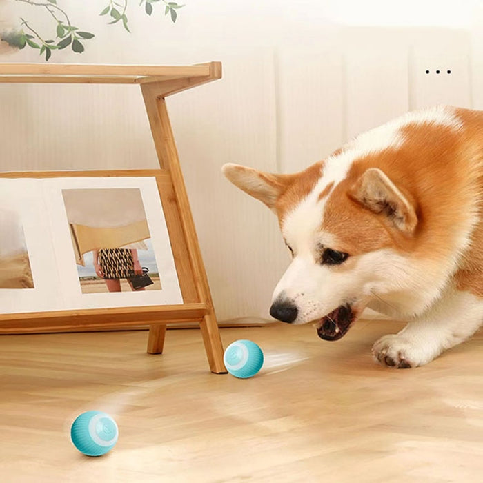 Self-Rolling Ball Cat Toy