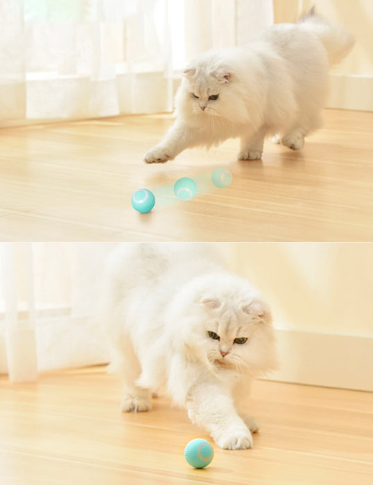 Self-Rolling Ball Cat Toy