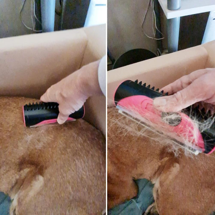 Pet Hair Remover Brush