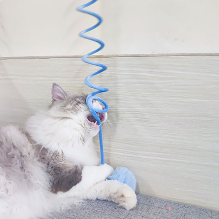 Hanging Spring Ball Cat Toy